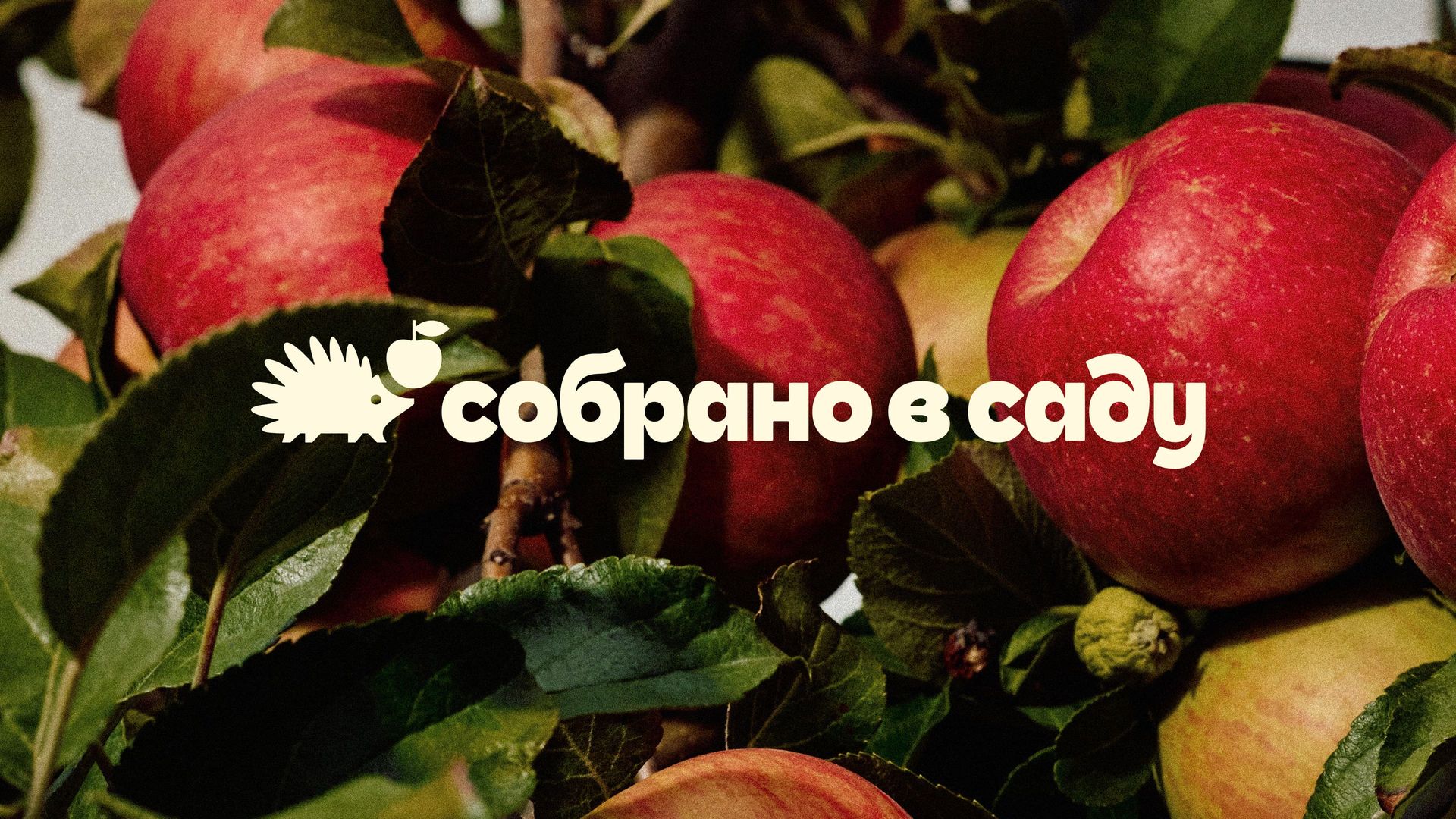 Fresh identity and packaging for an apple brand that brings back childhood memories Fresh identity and packaging for an apple brand that brings back childhood memories